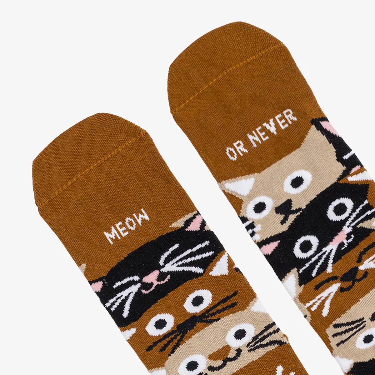 Calcetines UO - "Meow or never" 🐱