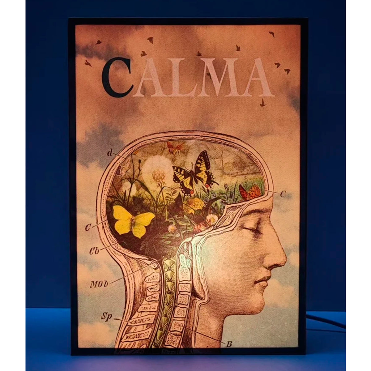 Caja de luz A4 - "Calma"