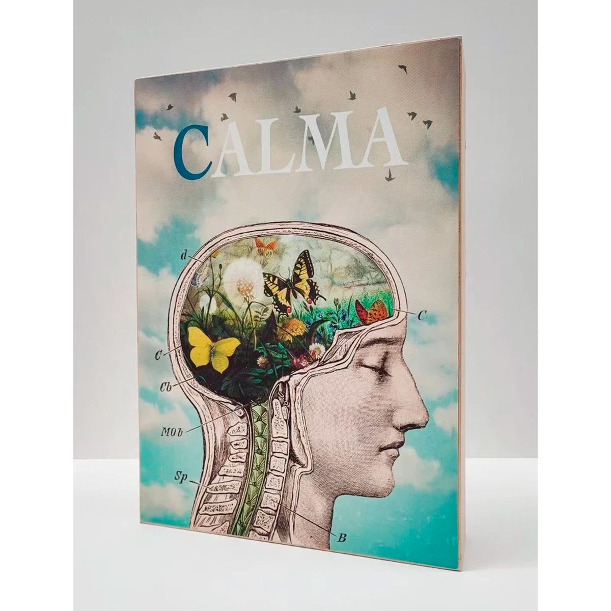 Caja de luz A4 - "Calma"