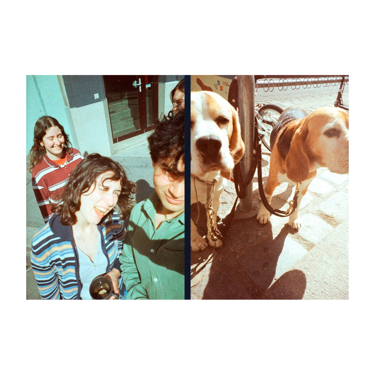 Cámara Simple Use recargable Lomography - Half-frame Classicolor 200/40