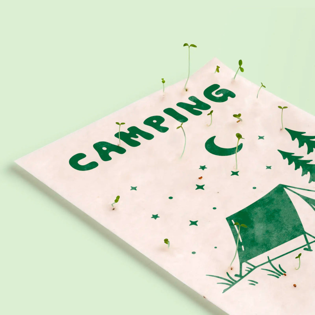 Postal plantable - Camping ⛺