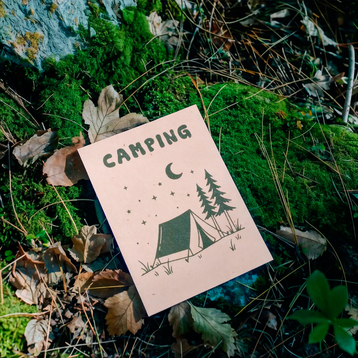 Postal plantable - Camping ⛺