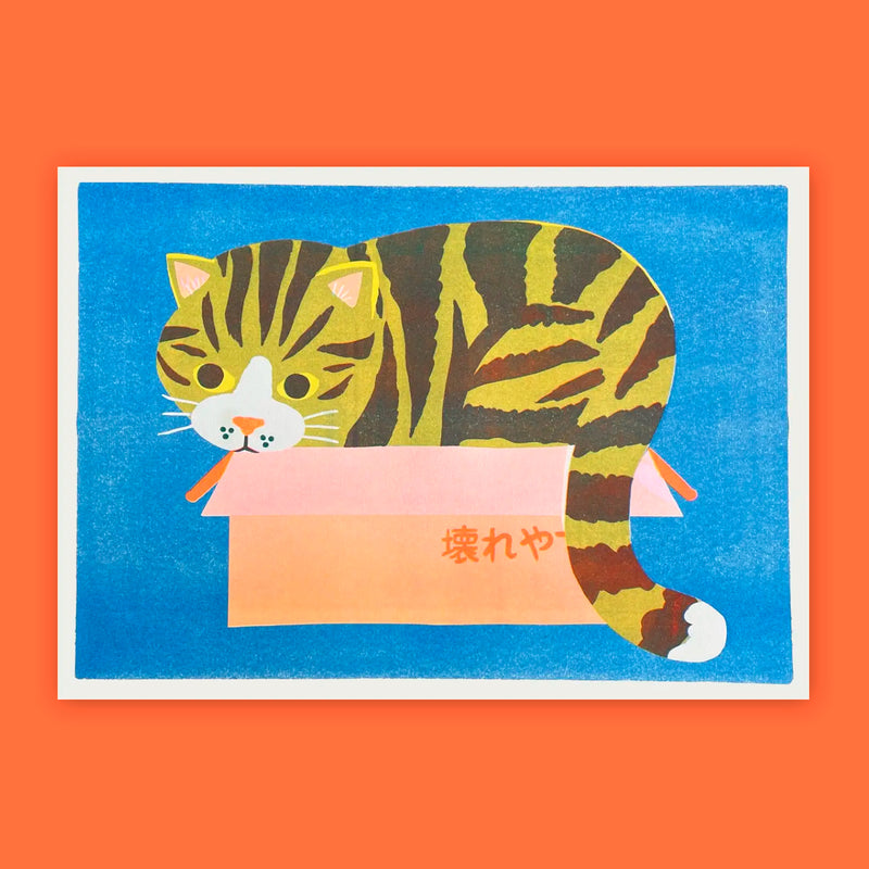 Print de Naomi Wilkinson A3 - "Cat in a Box" 🐱📦