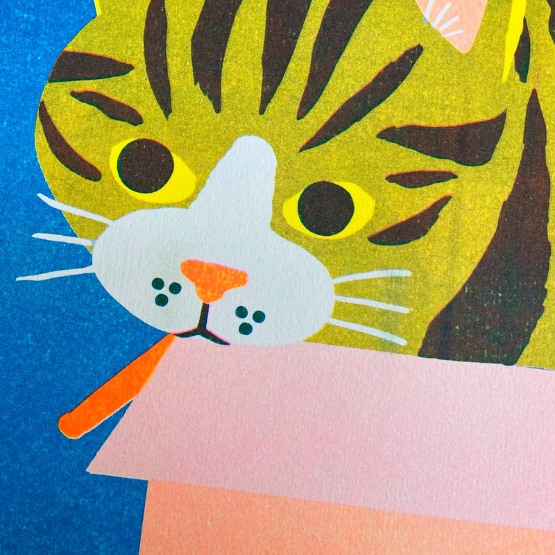 Print de Naomi Wilkinson A3 - "Cat in a Box" 🐱📦