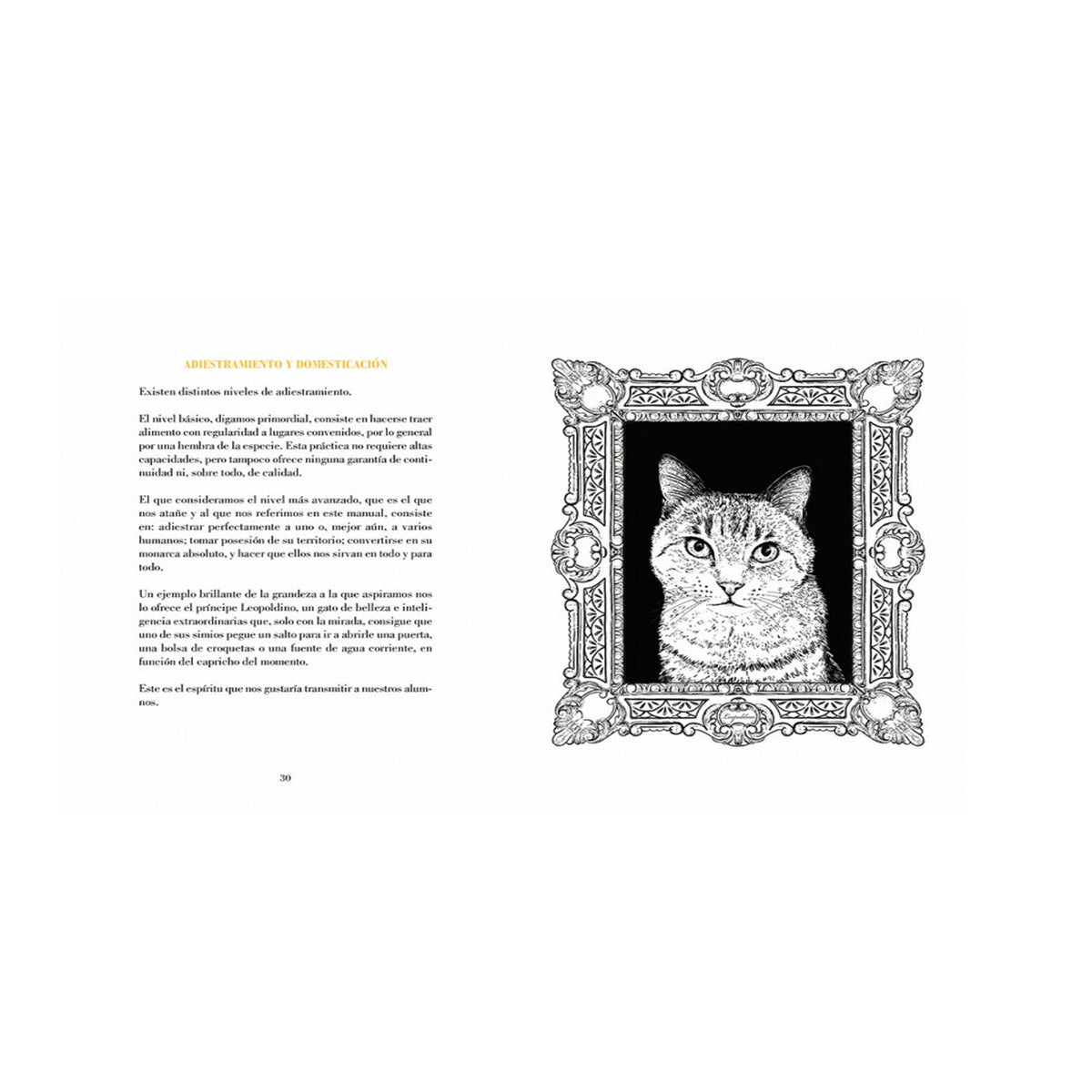 Libro - "Cómo domesticar a un humano" de Babas