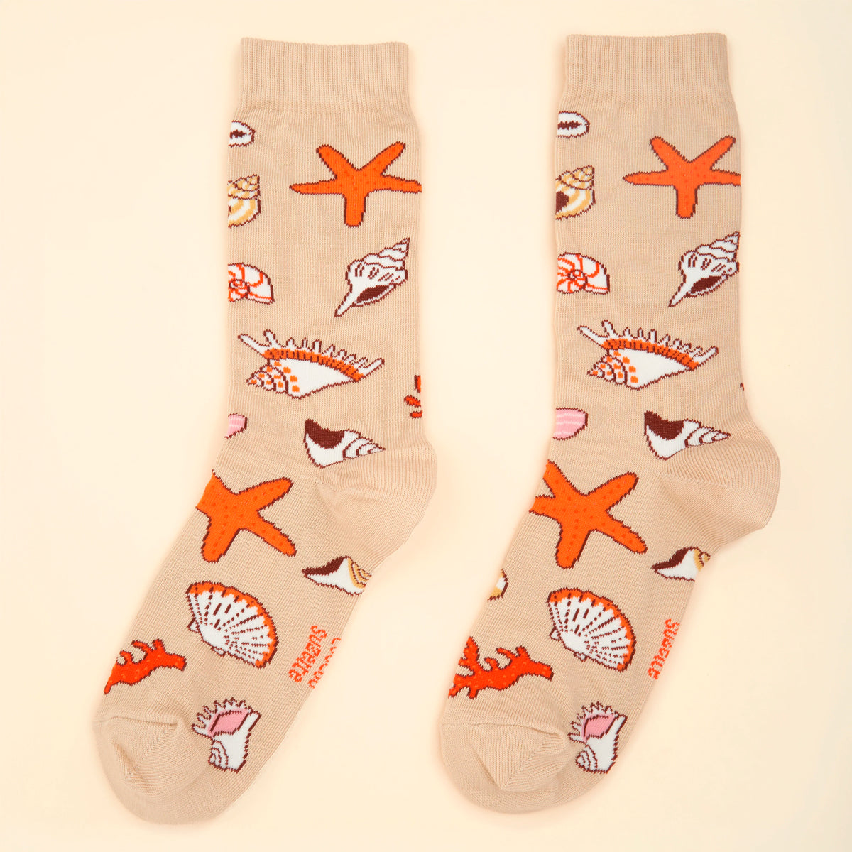 Calcetines - Conchas 🐚