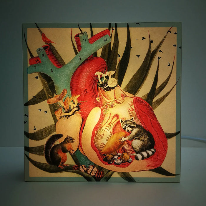 Caja de luz - "Corazón Mapache" de El Lucernario