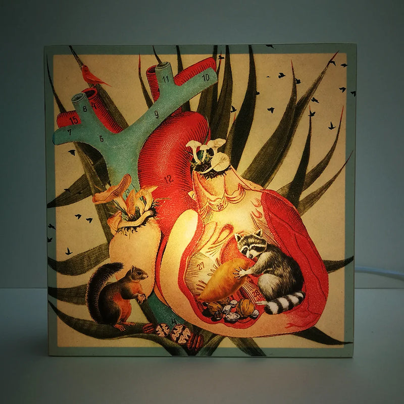 Caja de luz - "Corazón Mapache" de El Lucernario