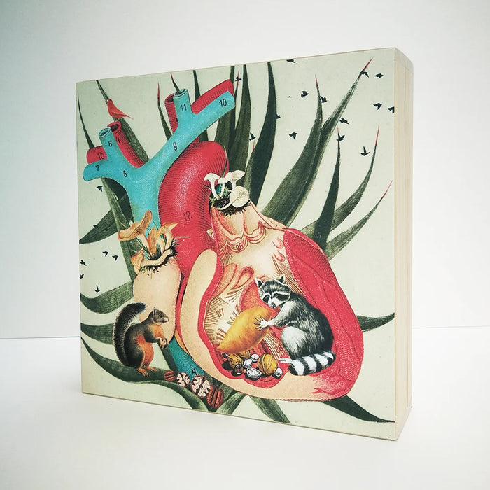 Caja de luz - "Corazón Mapache" de El Lucernario