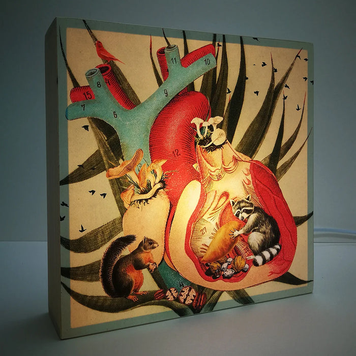 Caja de luz - "Corazón Mapache" de El Lucernario