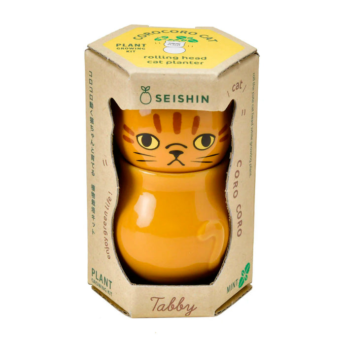 Semillero - Corocoro Cats 🐱🌱