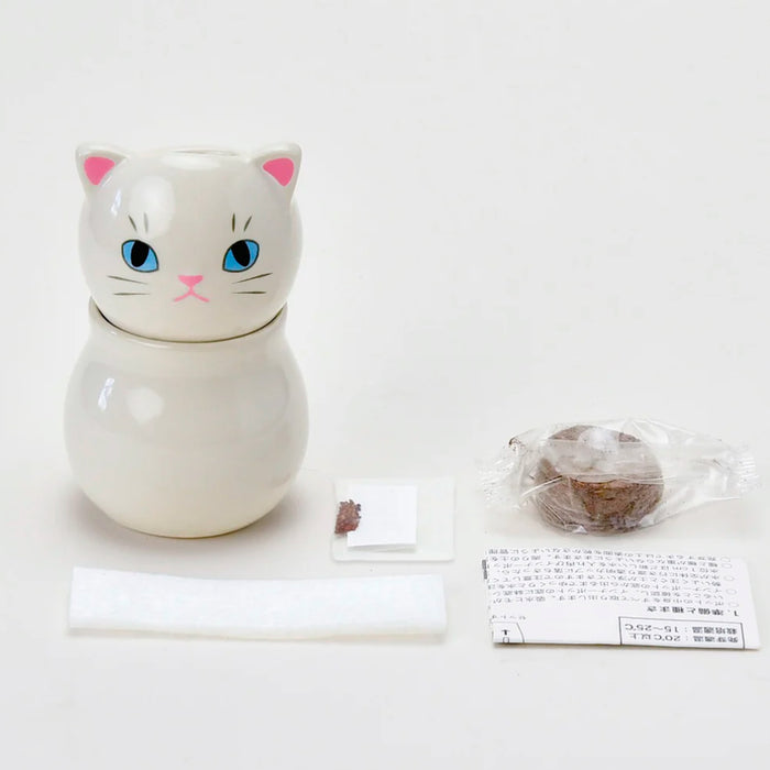 Semillero - Corocoro Cats 🐱🌱