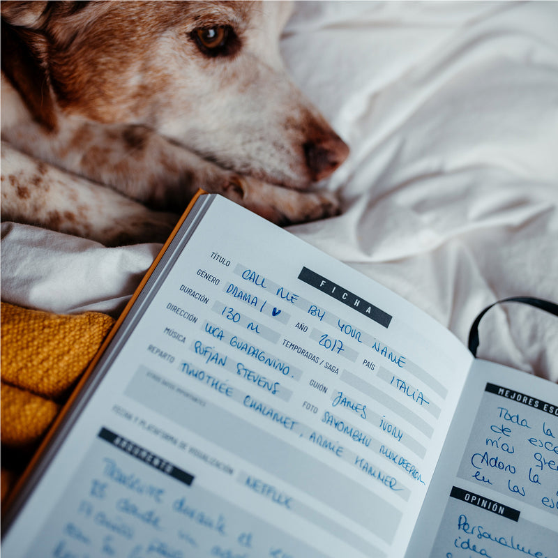 Cuaderno de pelis y series