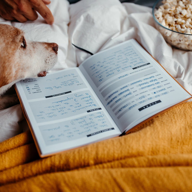 Cuaderno de pelis y series