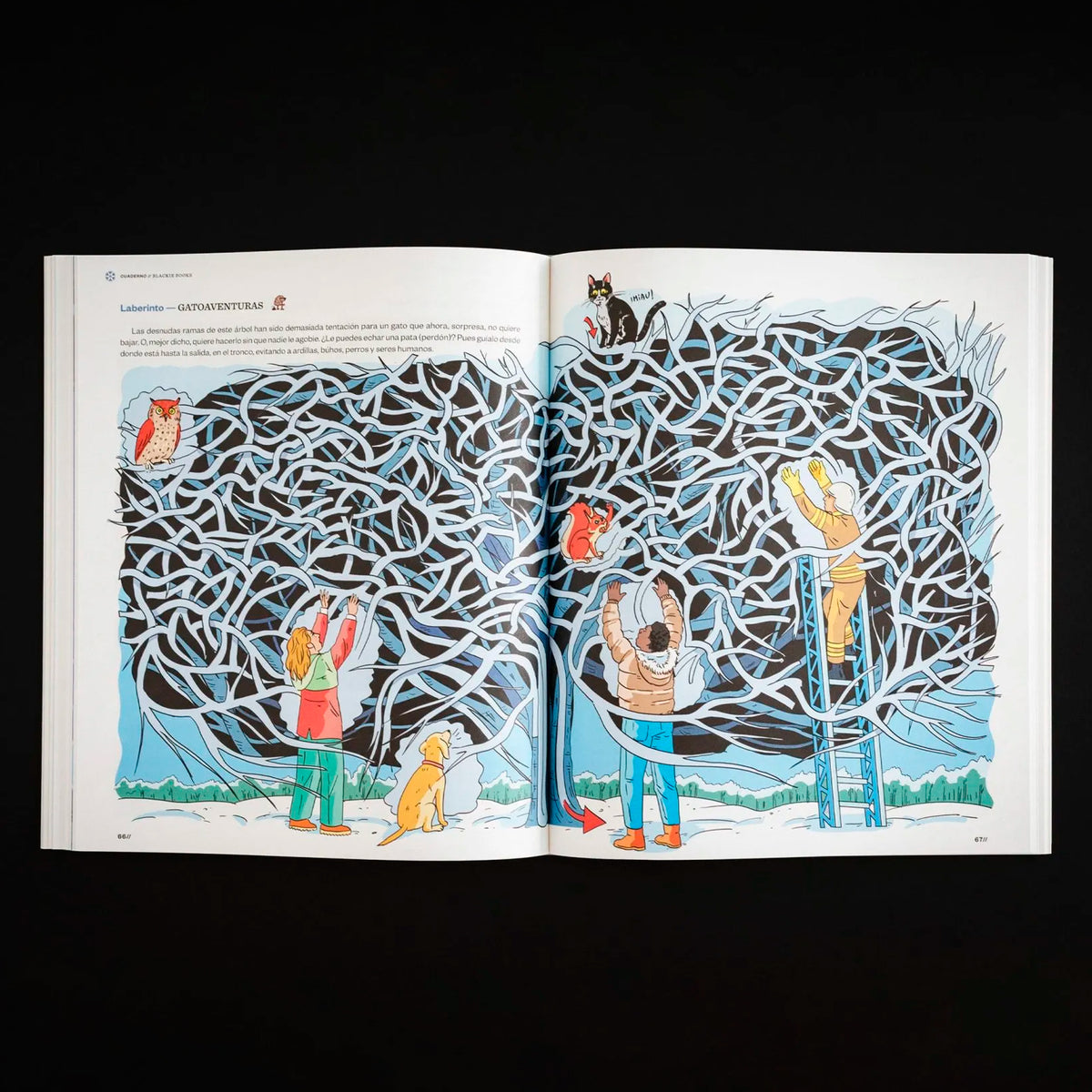 Cuaderno de Invierno Blackie Books Vol.6