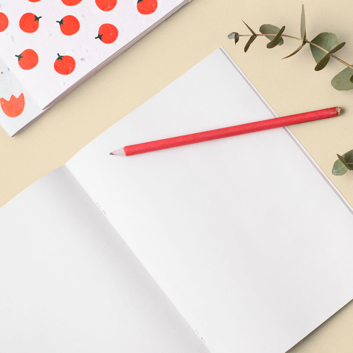Libreta plantable - Manzanilla 🌼