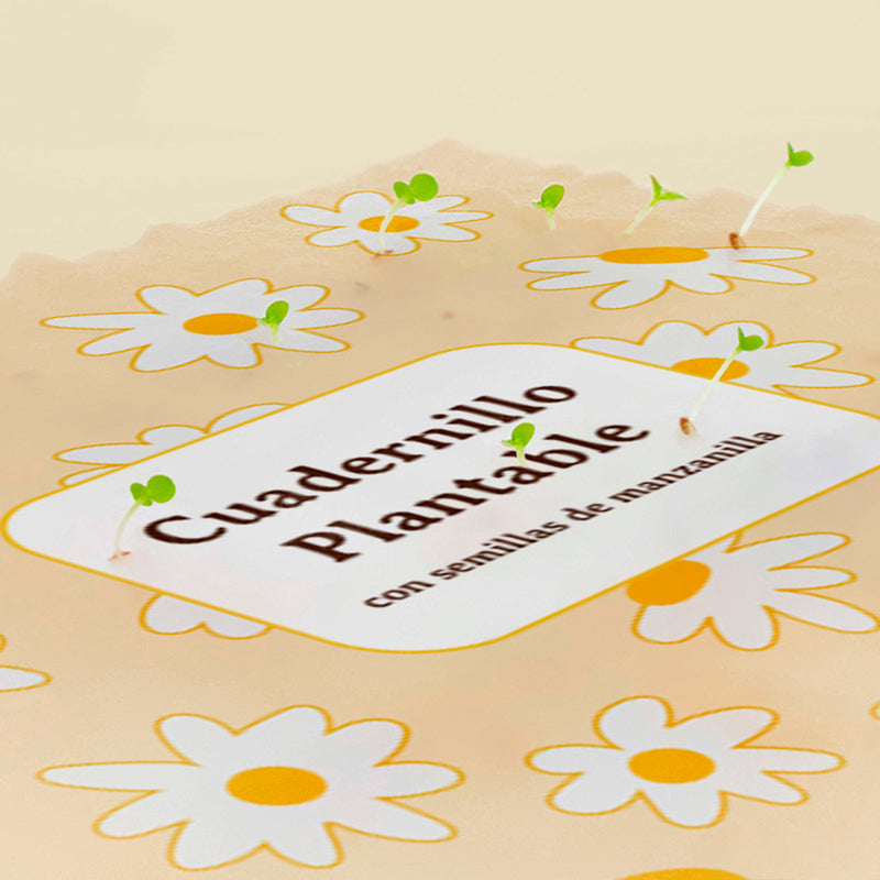 Libreta plantable - Manzanilla 🌼