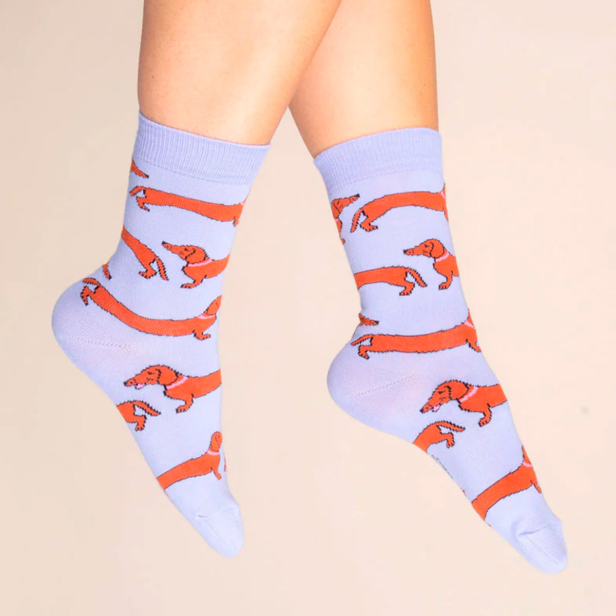 Calcetines - Perro salchicha