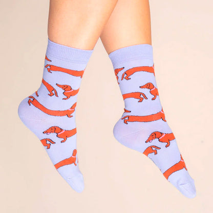 Calcetines - Perro salchicha