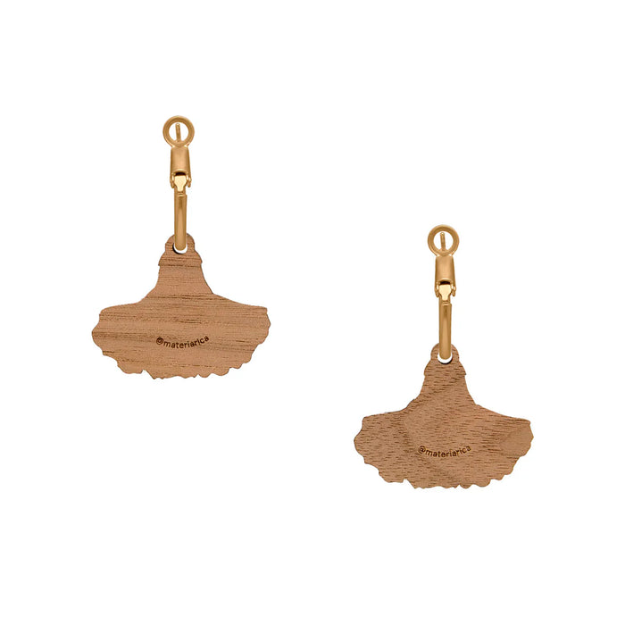 Pendientes Materia Rica - Dancing Carnation