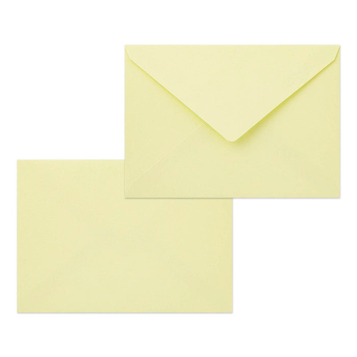 Postal 3D Midori - Birthday Present 🎁🐱