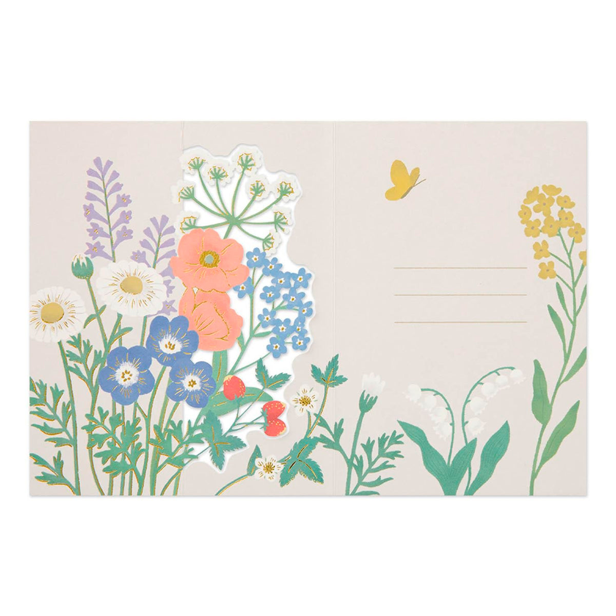 Postal 3D Midori - Wildflower 🌼