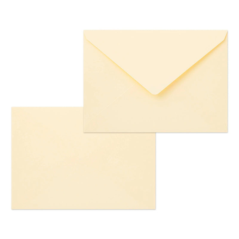 Postal 3D Midori - Wildflower 🌼