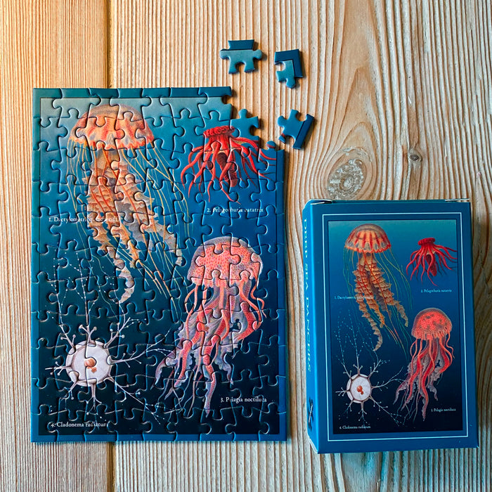 Puzzle Mini - Deep Sea Dancers
