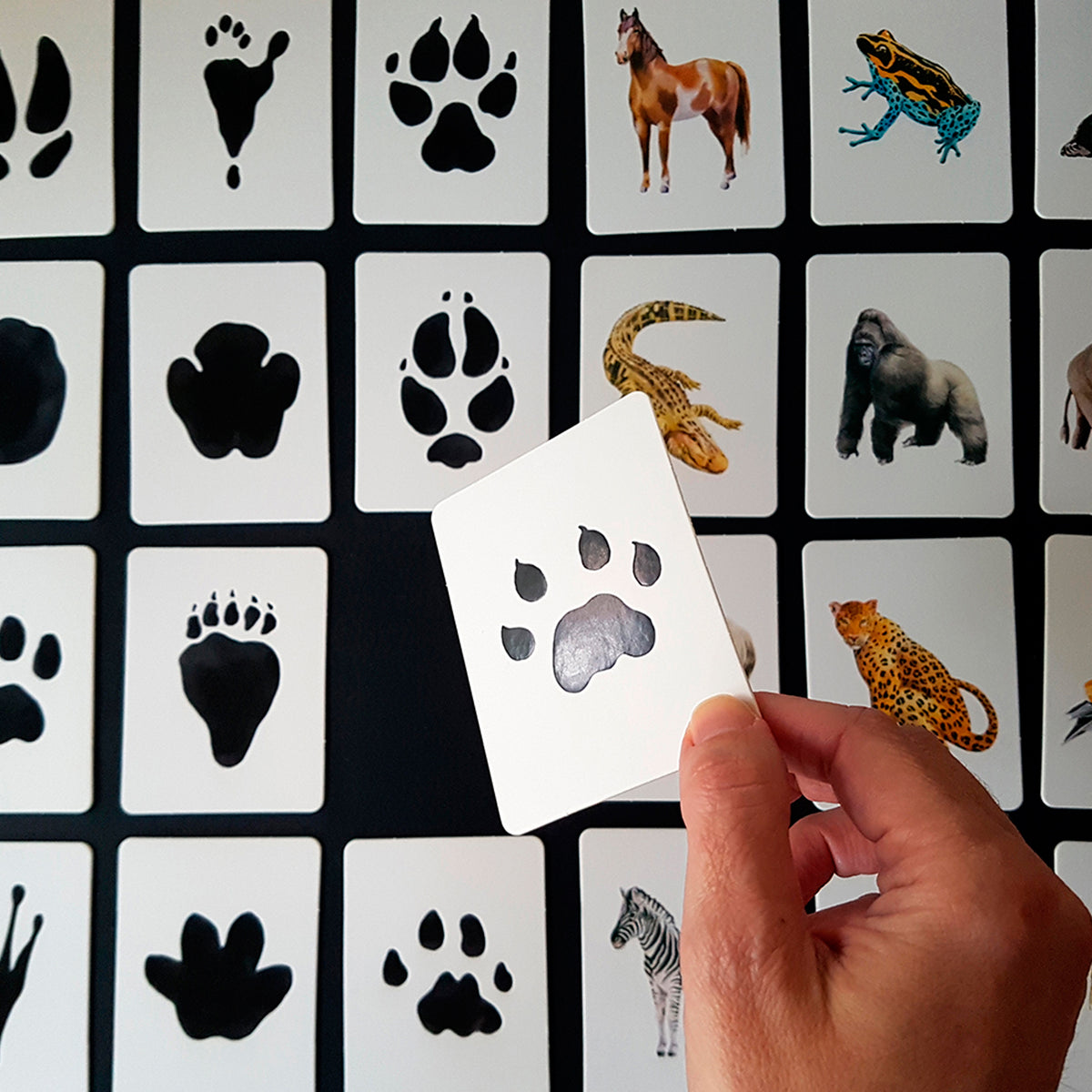 Juego de memoria - "Descubre la huella" 🐾