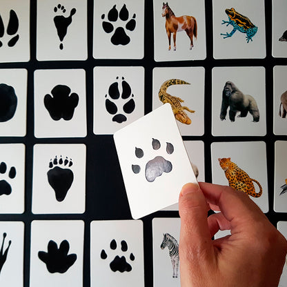Juego de memoria - "Descubre la huella" 🐾