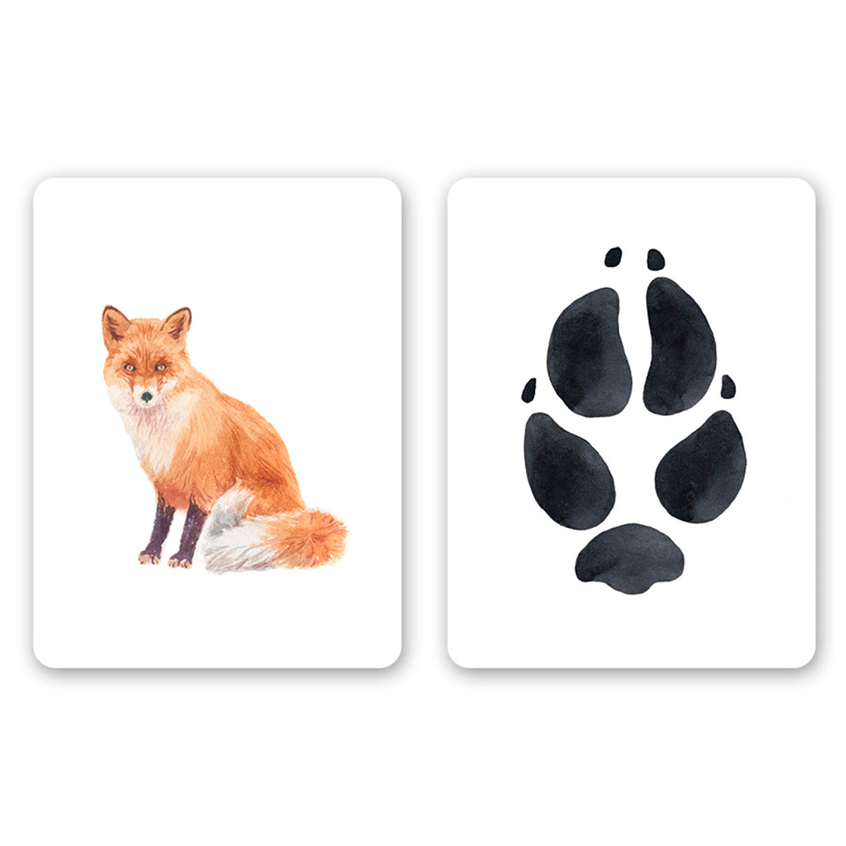 Juego de memoria - "Descubre las huellas cercanas" 🐾