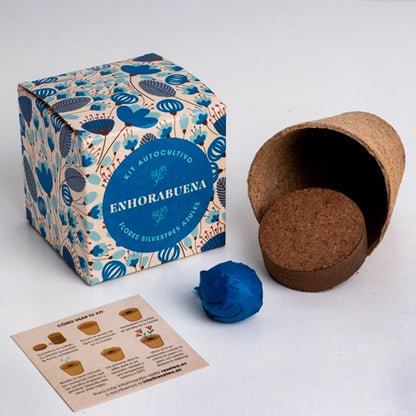 Kit autocultivo -  "Enhorabuena"