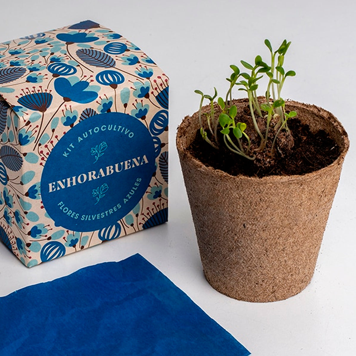 Kit autocultivo -  "Enhorabuena"