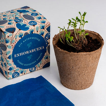 Kit autocultivo -  "Enhorabuena"