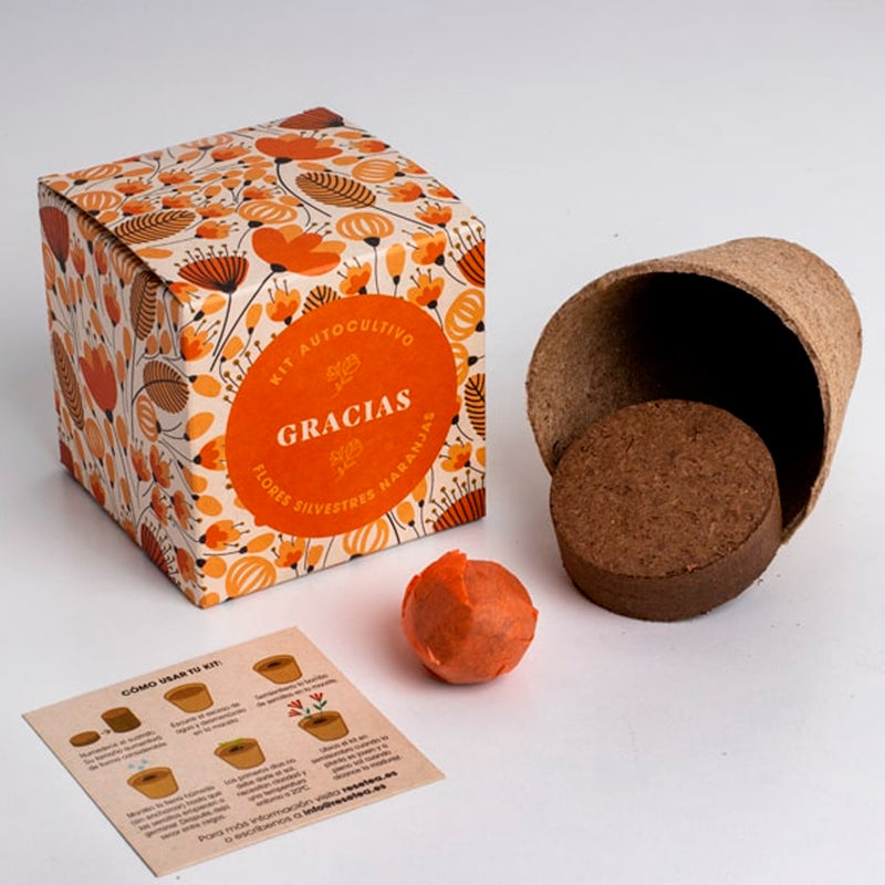 Kit autocultivo -  "Gracias"