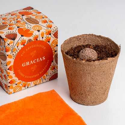 Kit autocultivo -  "Gracias"