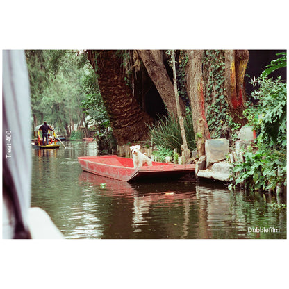 Película - Dubblefilm Treat 400 36Exp.