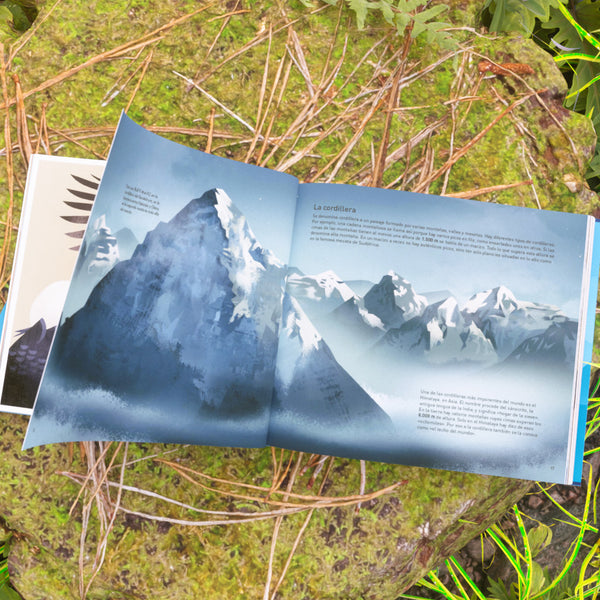 Libro - "El mundo de las montañas" de Dieter Braun