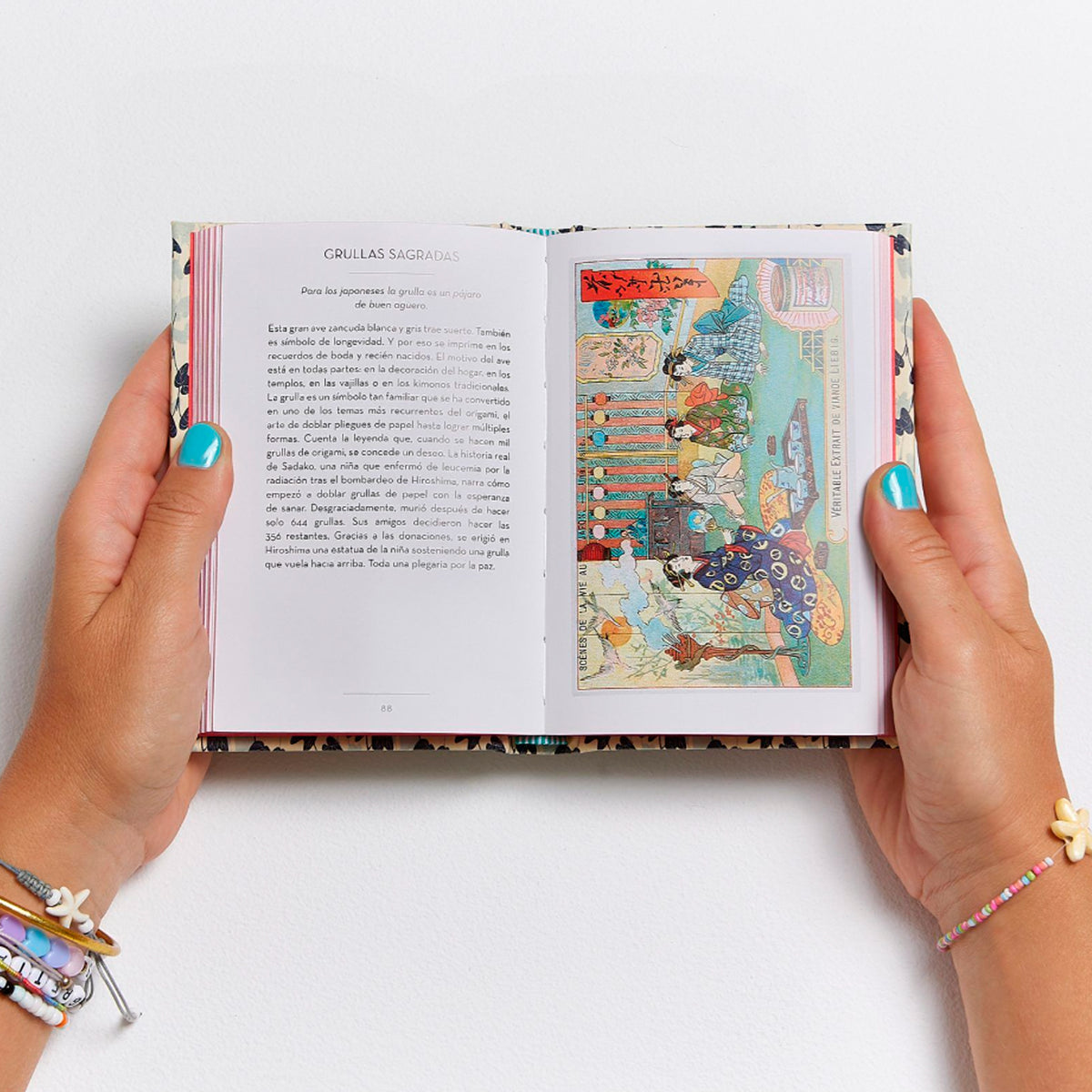 Libro - "El pequeño libro de Japón" de Christine Barrely