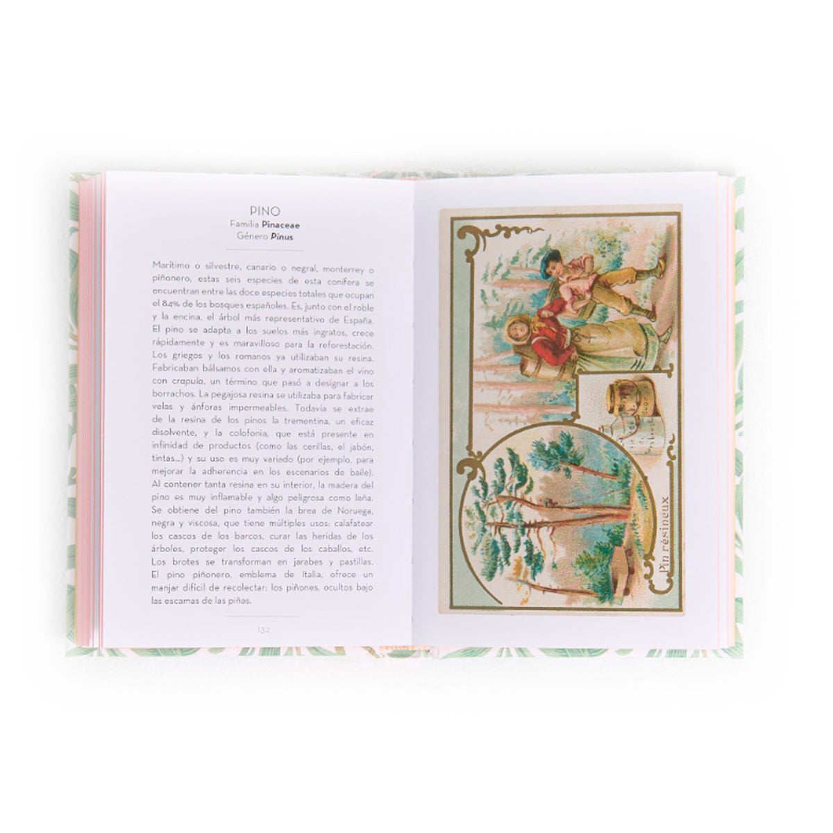 Libro - "El pequeño libro de los Árboles" de Dominique Pen Du