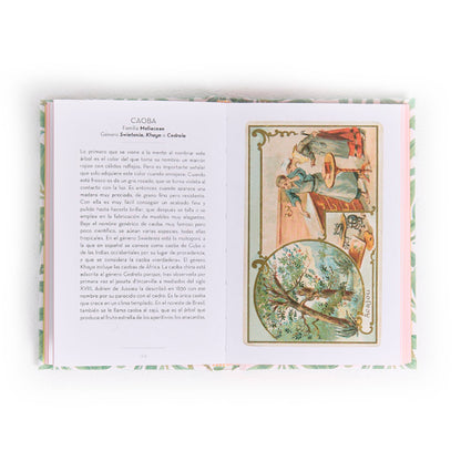 Libro - "El pequeño libro de los Árboles" de Dominique Pen Du