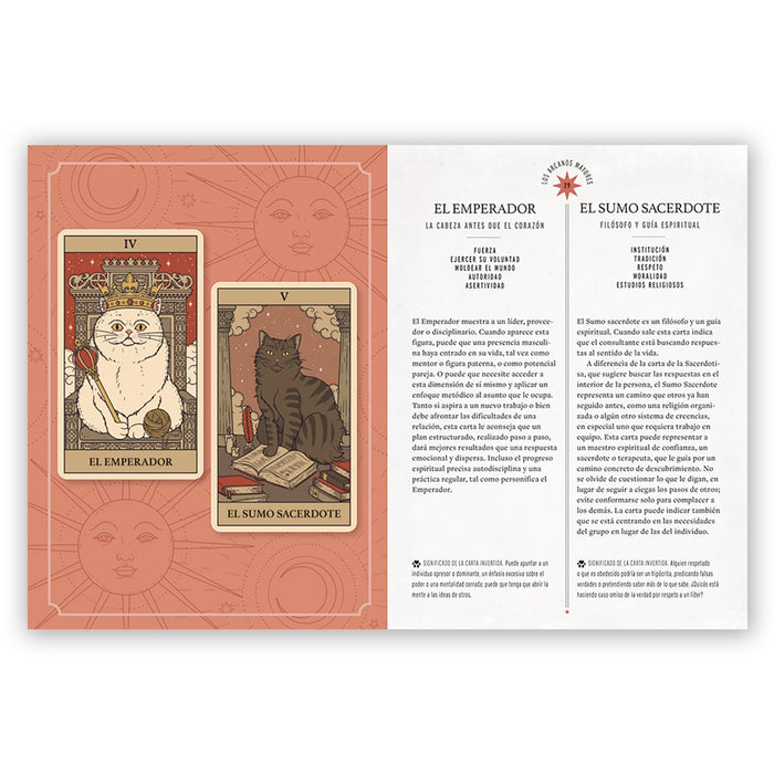Baraja de Tarot - "El Tarot de los Gatos" de Catherine Davidson y Thiago Corrêa
