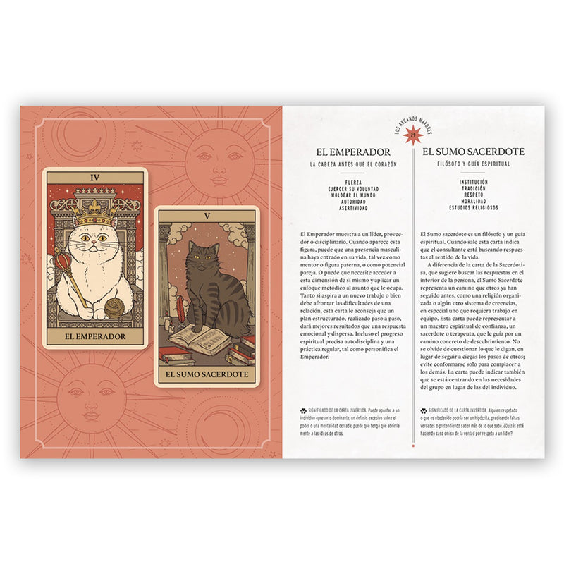 Baraja de Tarot - "El Tarot de los Gatos" de Catherine Davidson y Thiago Corrêa