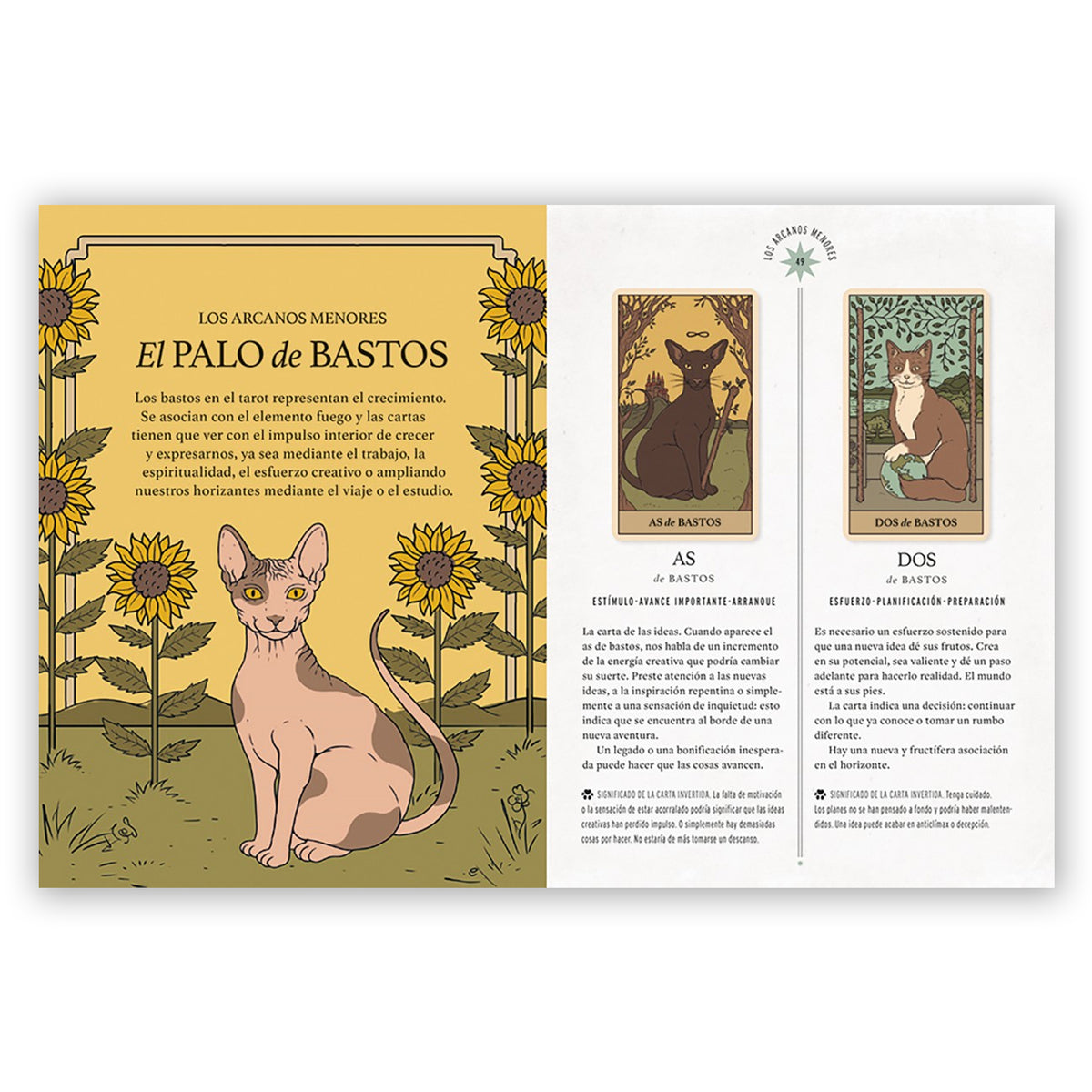Baraja de Tarot - "El Tarot de los Gatos" de Catherine Davidson y Thiago Corrêa