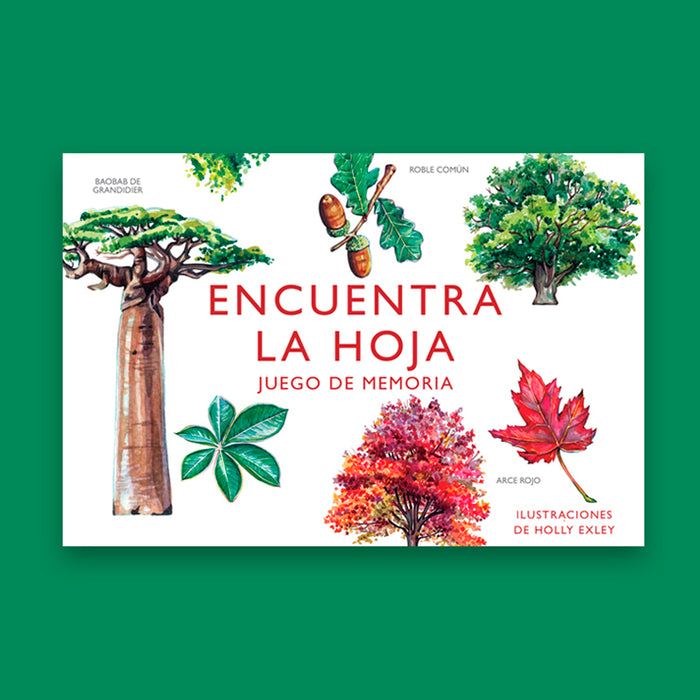 Juego de memoria - "Encuentra la hoja" 🌲🍁