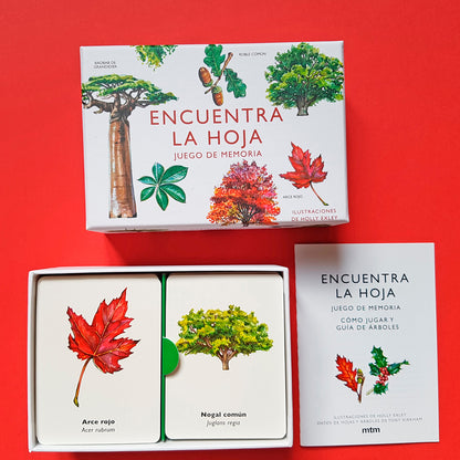 Juego de memoria - "Encuentra la hoja" 🌲🍁