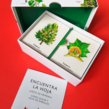 Juego de memoria - "Encuentra la hoja" 🌲🍁