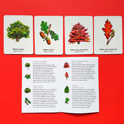 Juego de memoria - "Encuentra la hoja" 🌲🍁