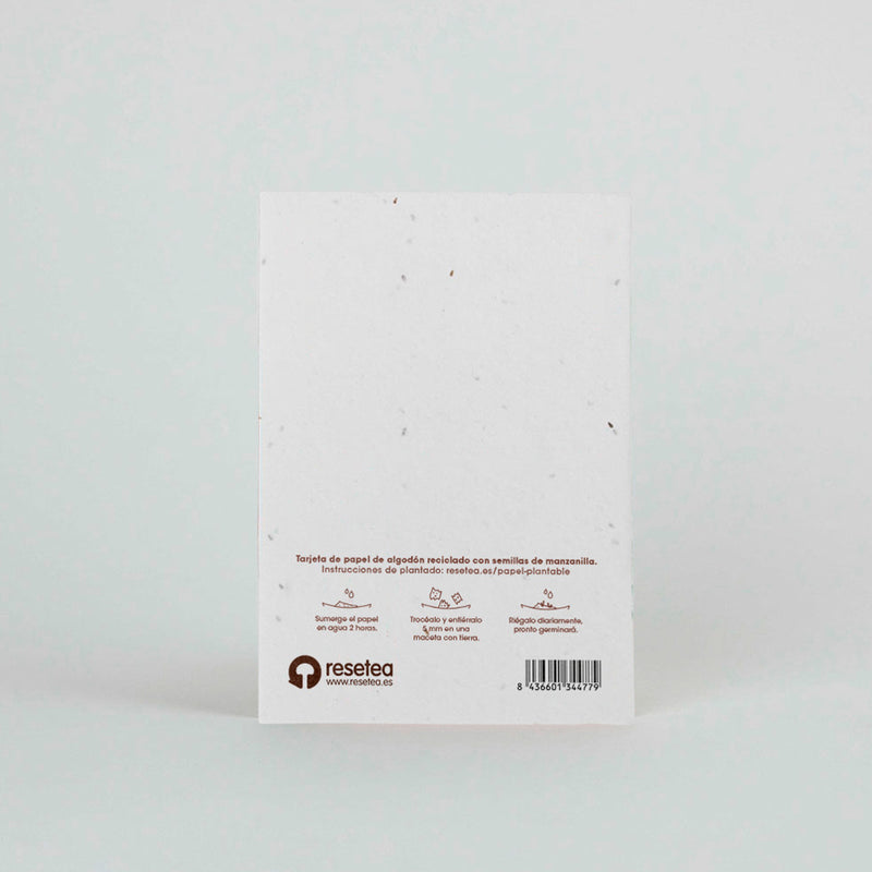 Postal plantable - "Feliz cumpleaños, por otro año floreciendo"