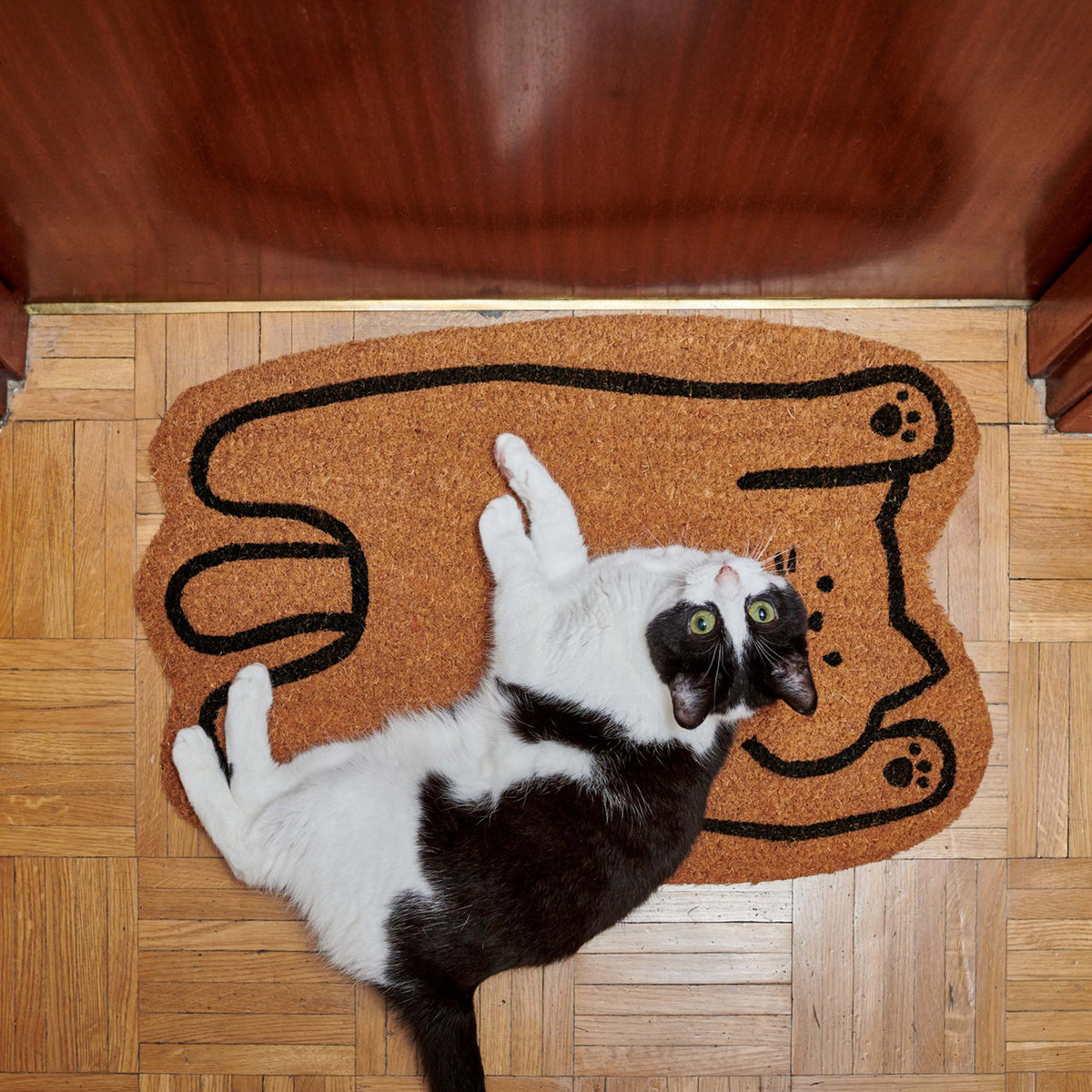 Felpudo - Gato perezoso